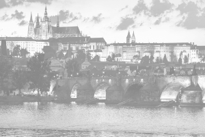 Deep Dive: Foreign Nationals & Generational Dynamics in the Czech Workplace